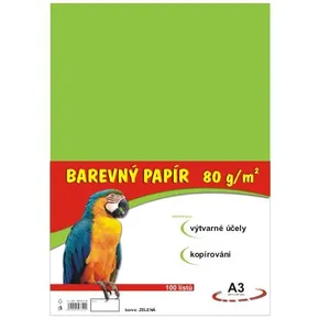 Papier für den Kunstunterricht A3/100/80g hellgrün